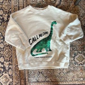 Zara Baby Boy Sweatshirt